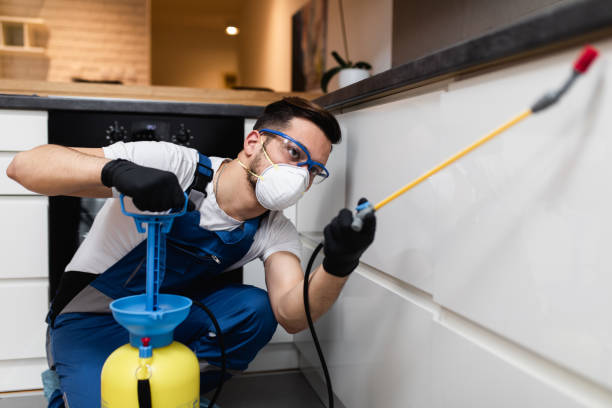 Best Affordable Pest Control Services  in Nice, CA