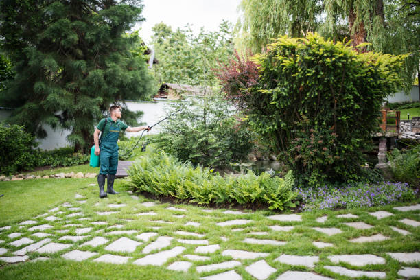 Best Mosquito Control Services  in Nice, CA