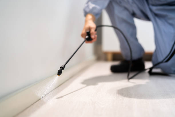 Best Pest Removal Services  in Nice, CA