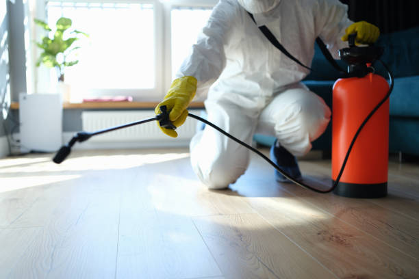 Pest Control for Restaurants in Nice, CA