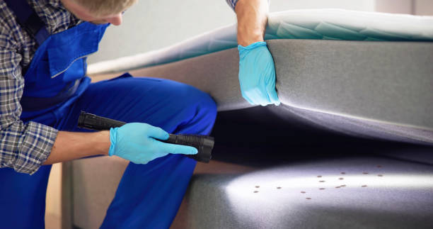 Pest Prevention Services in Nice, CA