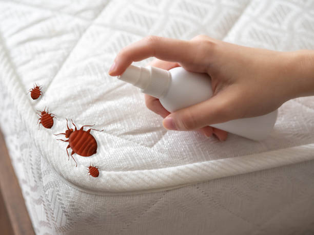 Best Bed Bug Extermination  in Nice, CA