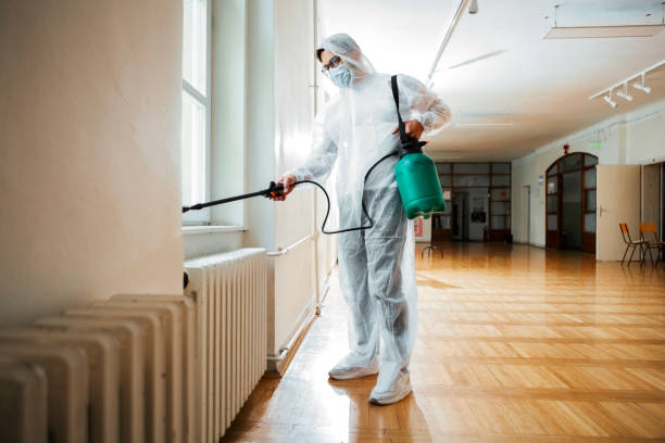 Best Best Pest Control Companies  in Nice, CA