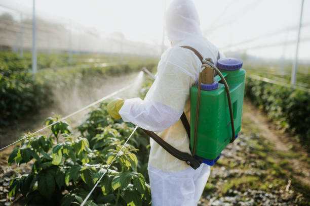 Best Cockroach Control Services  in Nice, CA